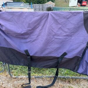 Purple and Black Horse Blanket